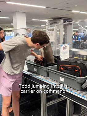 Louie&Todd Chicago Airport