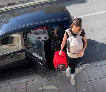 ibiyaya Panorama Pet Travel Backpack for Small Cat, Dog and Rabbits with Optional Wheels