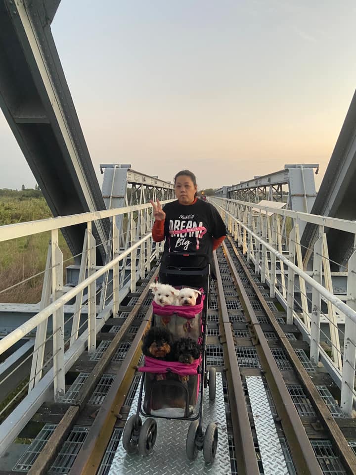 doublepetstrollerpink