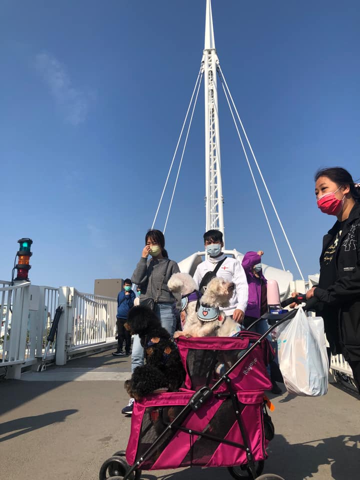 doublepetstrollerpink2