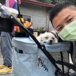 doublepetstrollerpink3-150x150