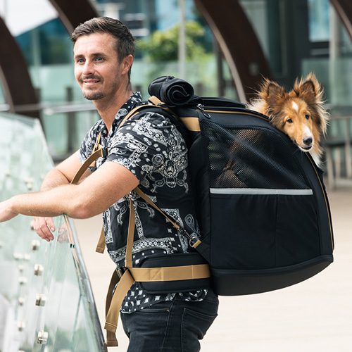 Champion Luxury Dog Carrier Backpack for Travel, Hiking & Pet Carrier with Wheels - Image 5