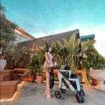 petstrollerfor2dogs3-150x150