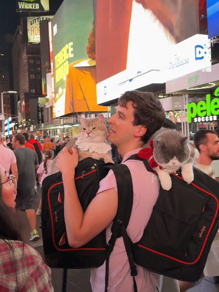 Louie&Todd New York Time Square