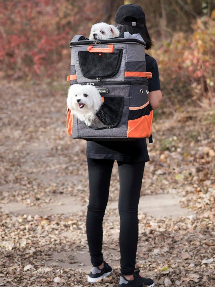 twobackpackforhiking2